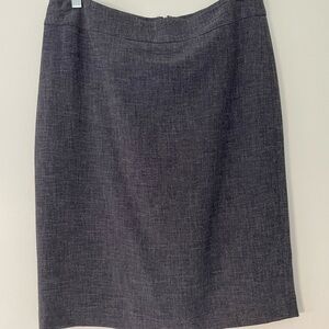 Elegant Gray Women's Skirt